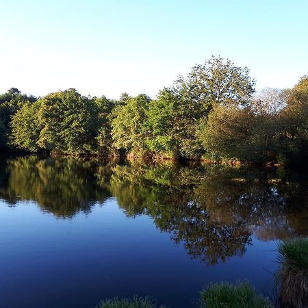Gite De Lac Tranquille Plaud Luaran gambar