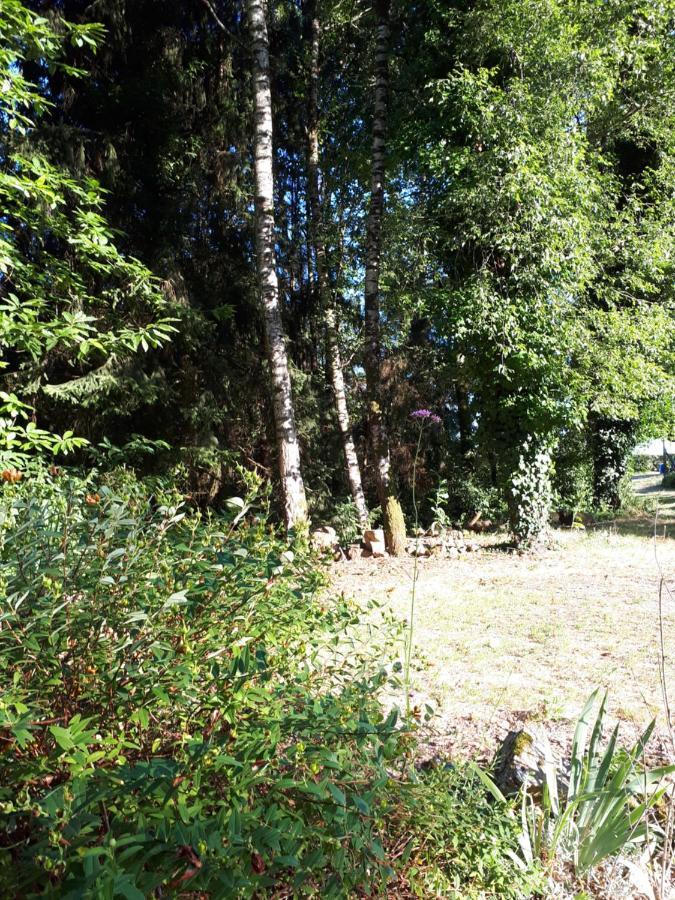 Gite De Lac Tranquille Plaud Luaran gambar